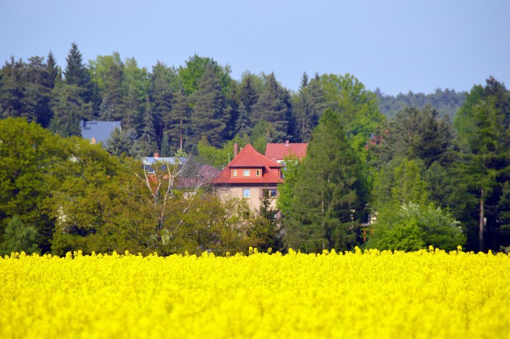 Ferienwohnung Deutschmann Dahlen Cameră foto